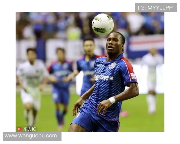 德罗巴非洲雄狮传奇一生从科特迪瓦到世界足坛永不磨灭的荣耀之路