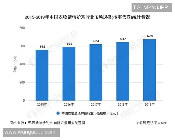 武家坡足球球星实力排名前十位解析与发展趋势分析